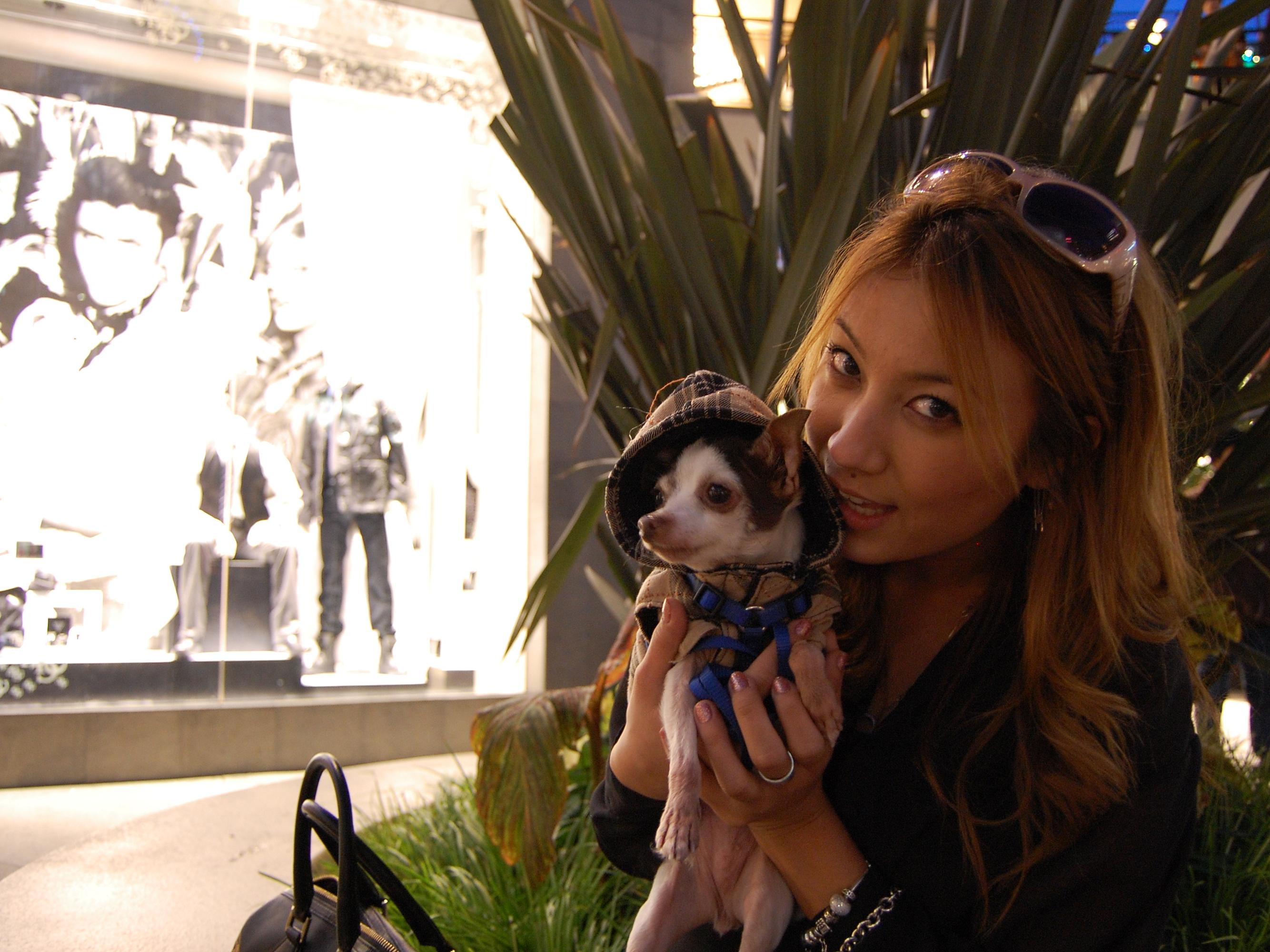 Emilaine Clanton and Mimi the 4 pound Chihuahua