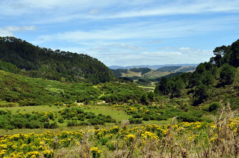 Te Whanganui-A-Hei Marine Preserve