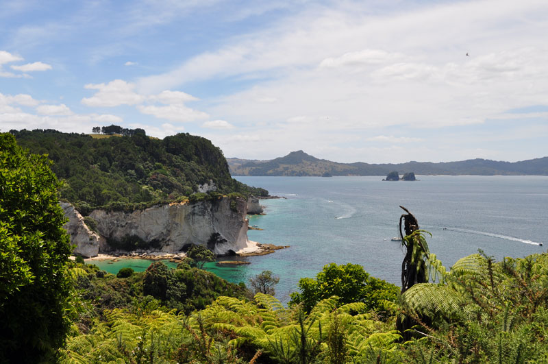 Stingray Cove