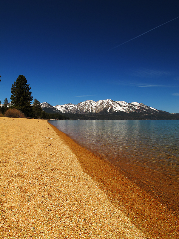 Beach Day-Earth Day