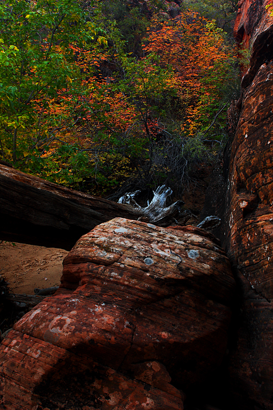 Autumn Among the Boulders