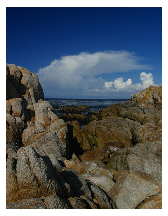 Monterey Sky