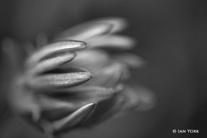 Reaching Out