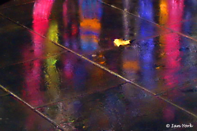 Reflecting Life