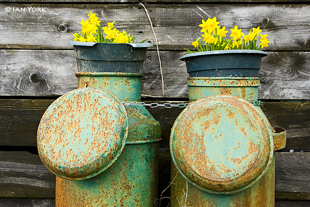 Daff and Urn