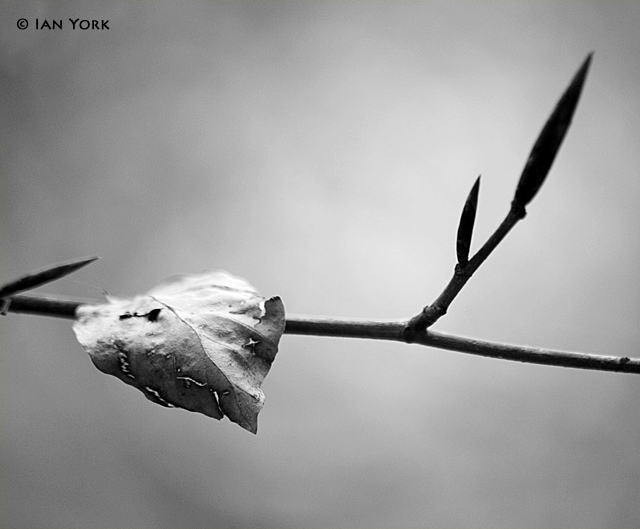Beginnings & Endings