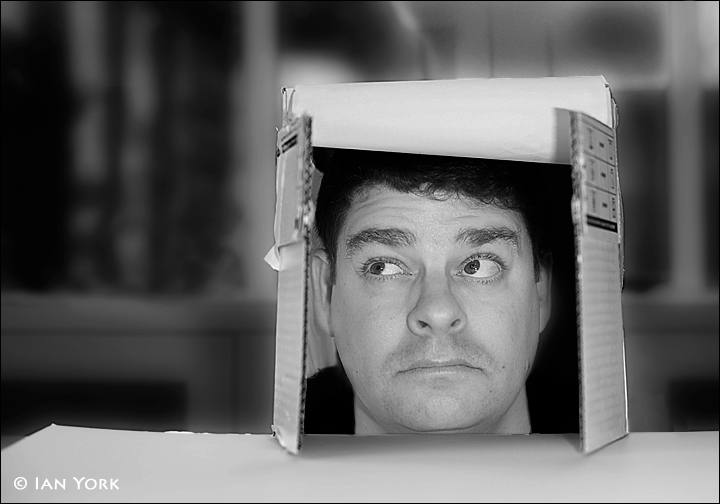 Boxed In