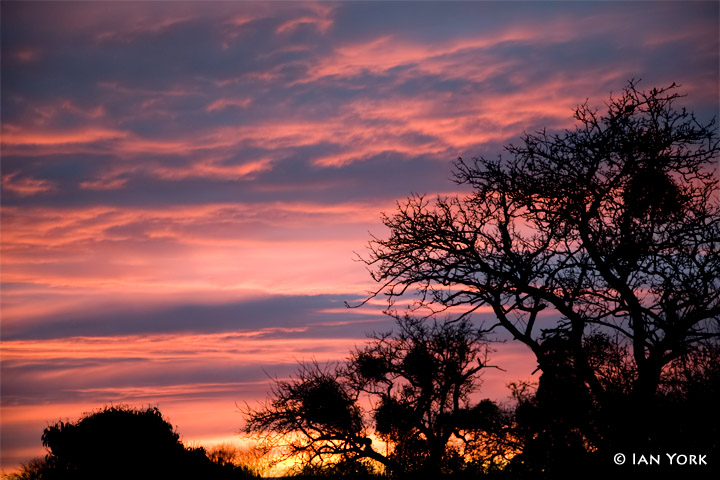 Shepherds Warning