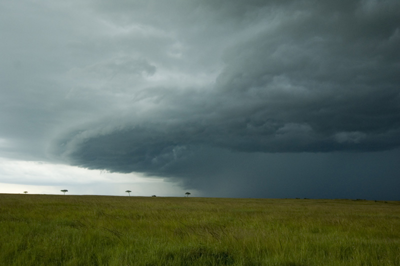 Masai Mara - Kenia.