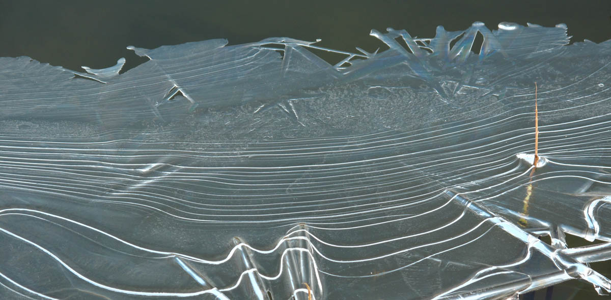spreading ice on water