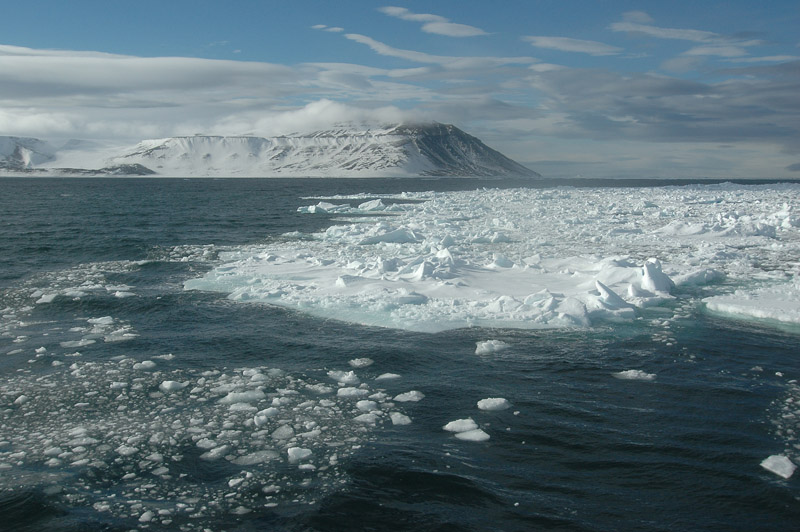 Pack-ice