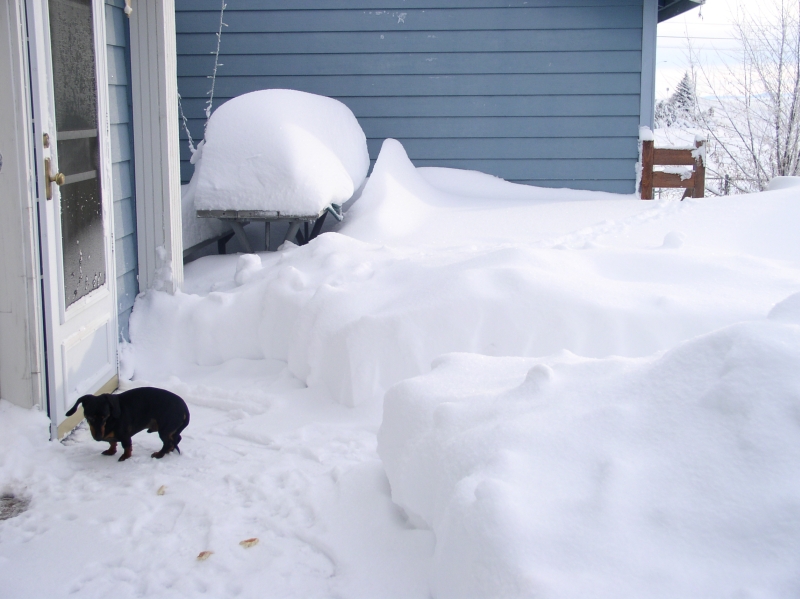 HEY- Cant ya hear? LET ME IN!!!