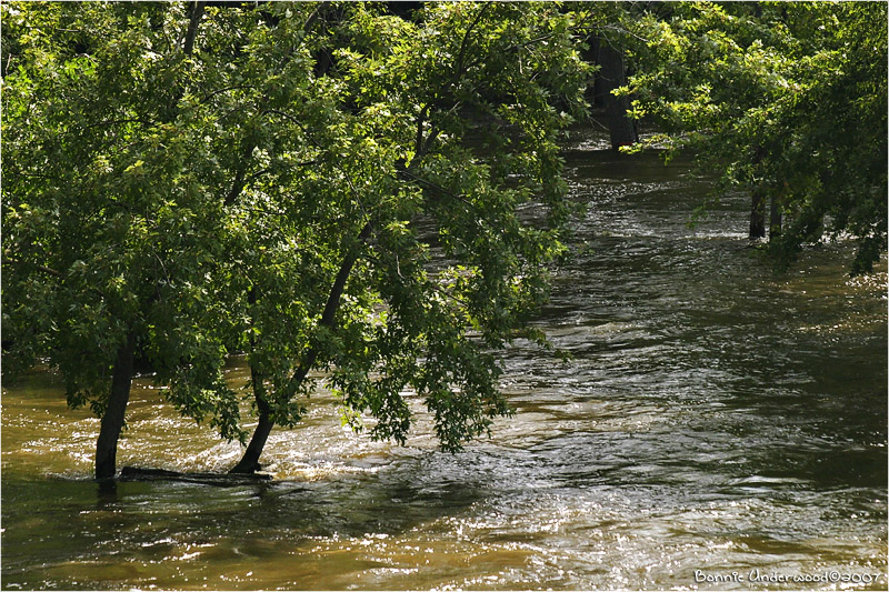 Fox River