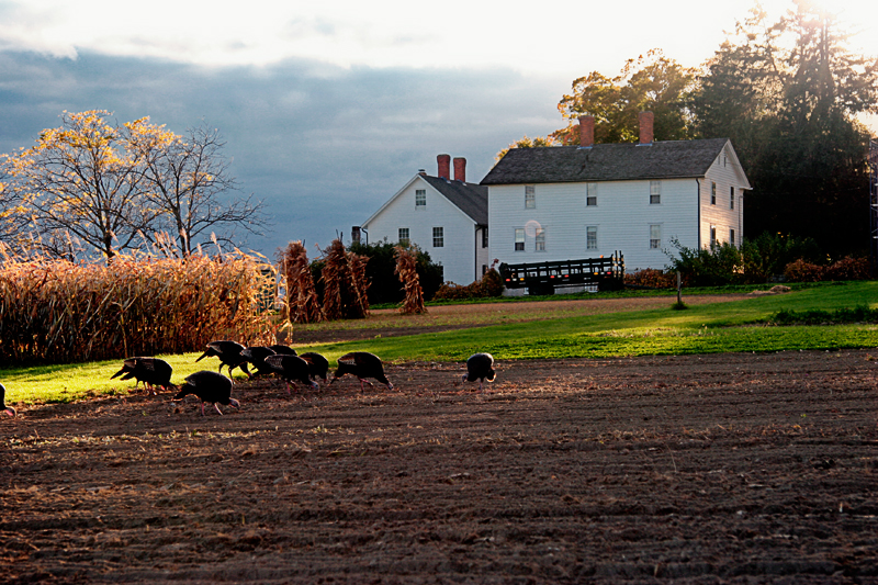  Canterbury Shaker Village