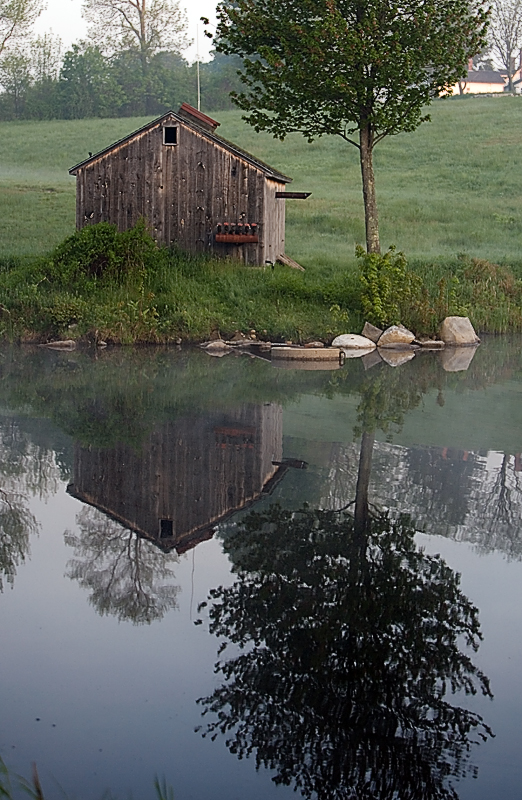 Turning Mill Pond Spring
