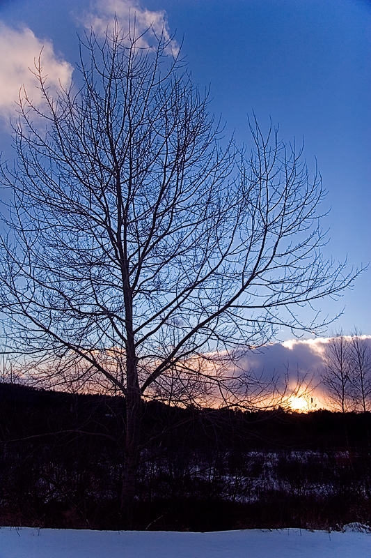Sunset Winter 