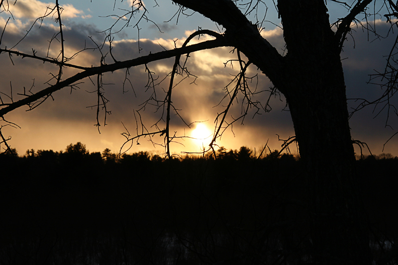Sunset Winter