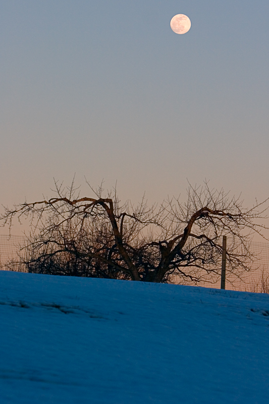  Full Moonrise  