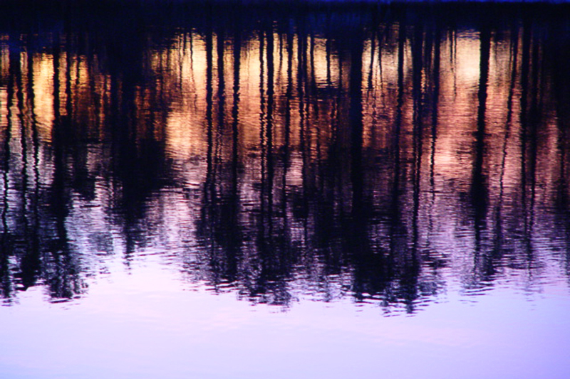  Reflection