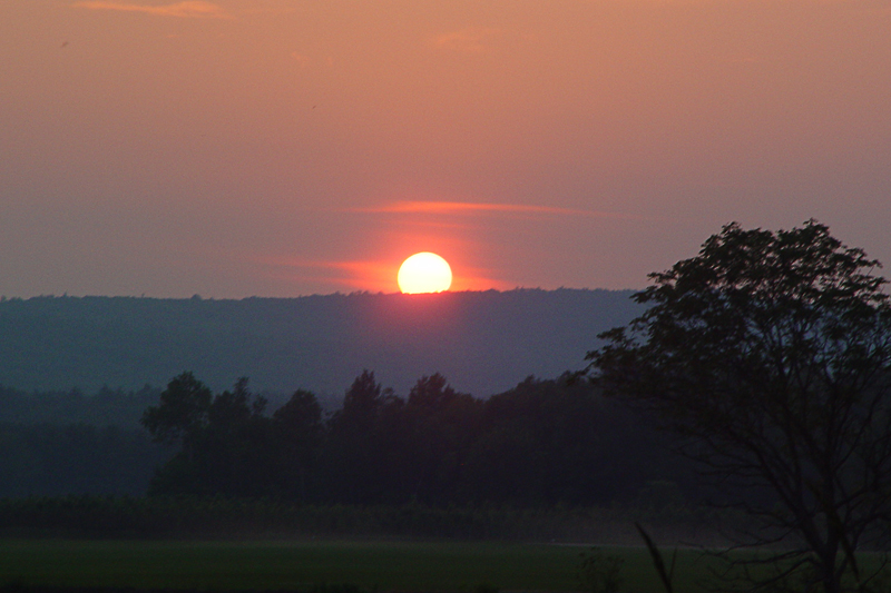Summer, New England 