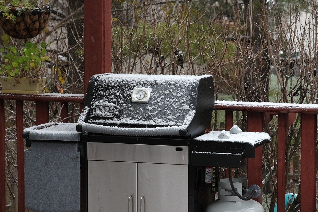 First Snow of 2009