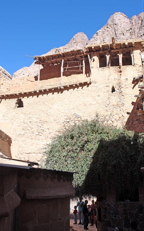 Burning Bush, St Catherines Monastery, Sinai