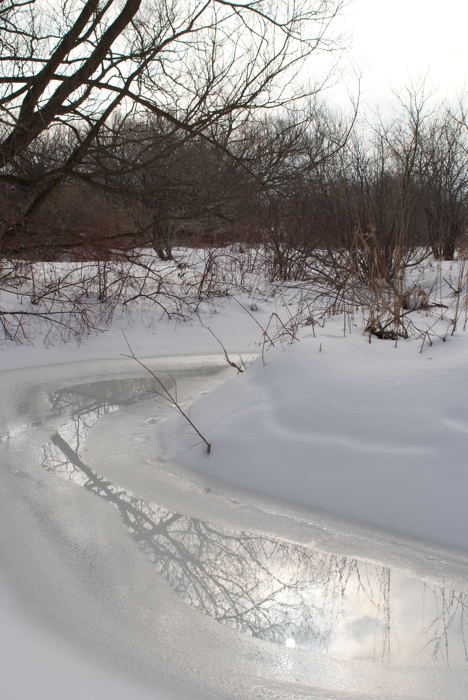 Stream
