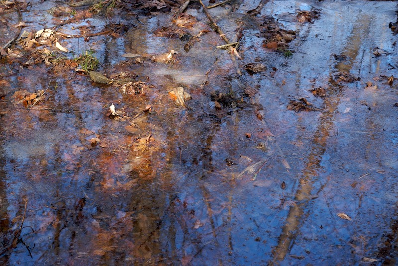 Reflections