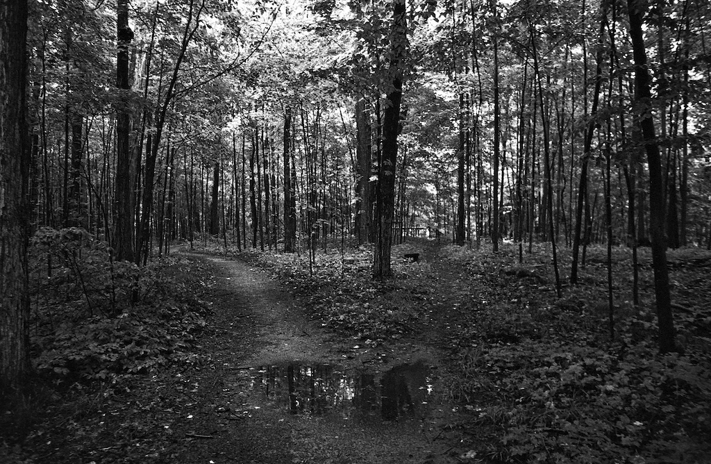 Paths