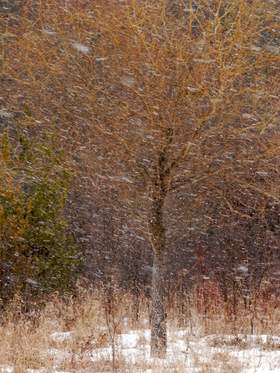 Snow