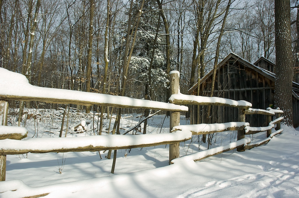 Winter Morning
