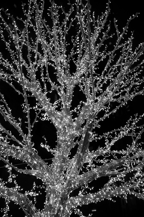 Tree of Light