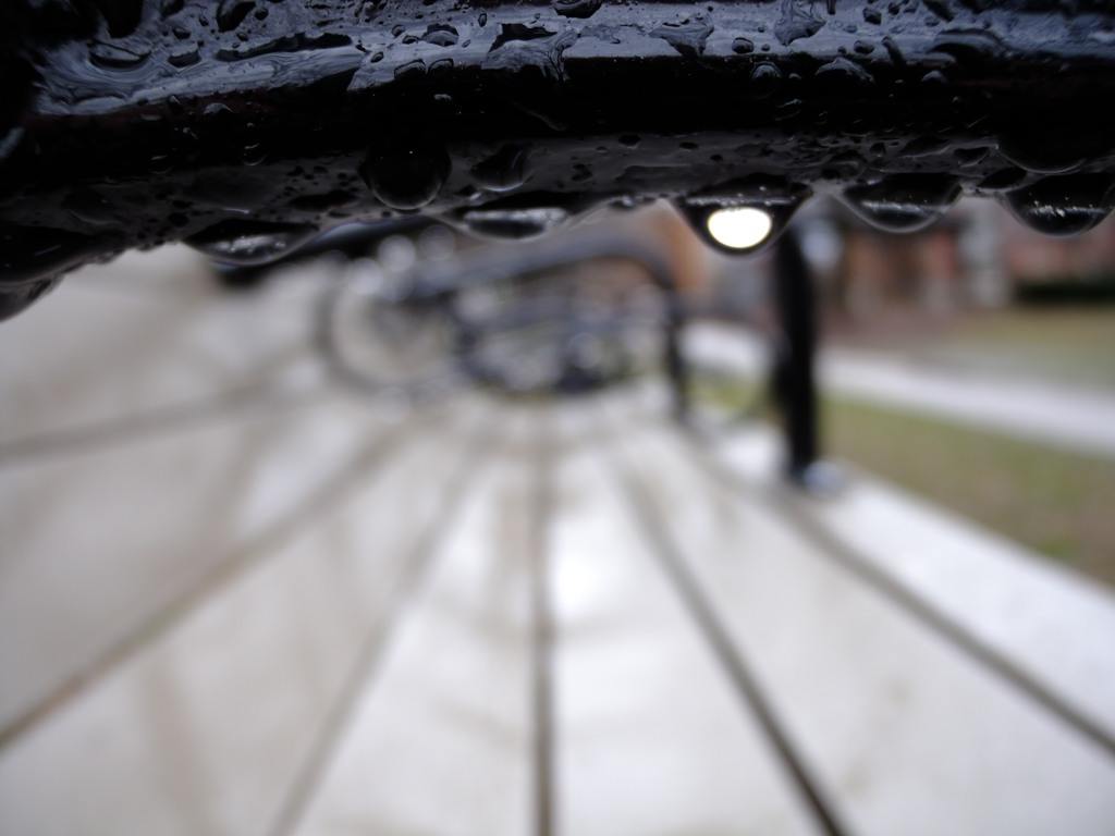 Rainy Day