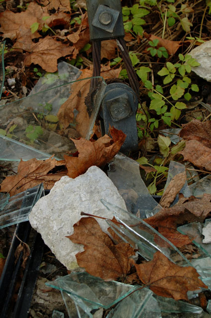 DSCF5066.jpg