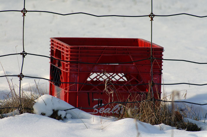 DSCF5086.jpg