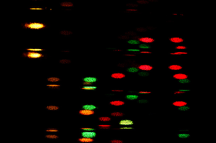 DSCF5123.jpg