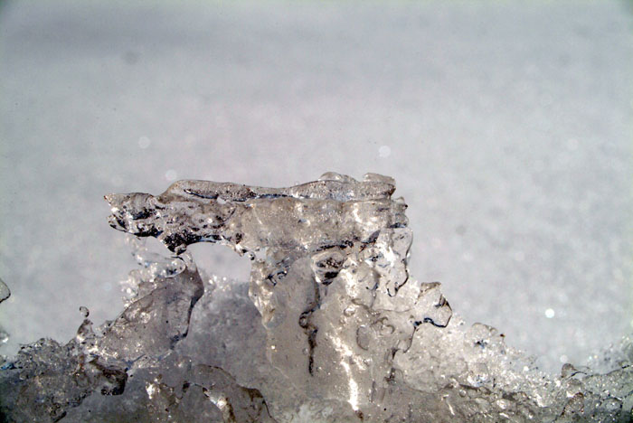 DSCF0294.jpg