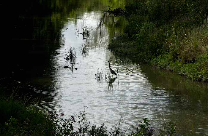 East Holland River