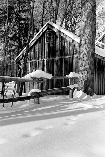 Sugar shack fence