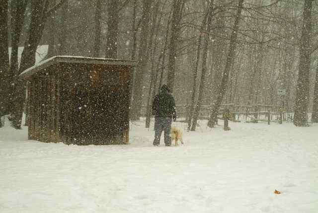 Snowy walk