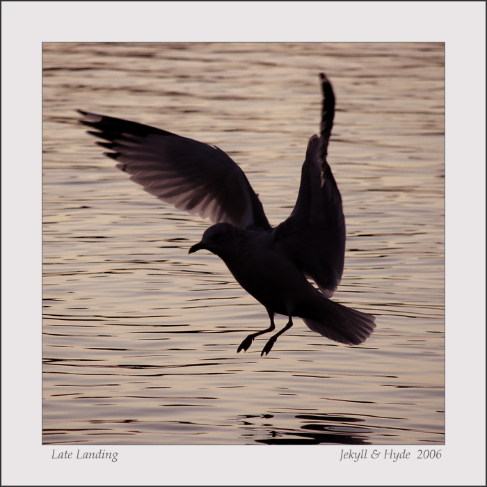 Late Landing
