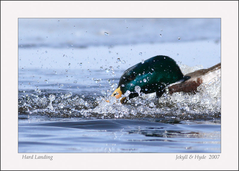 Hard Landing