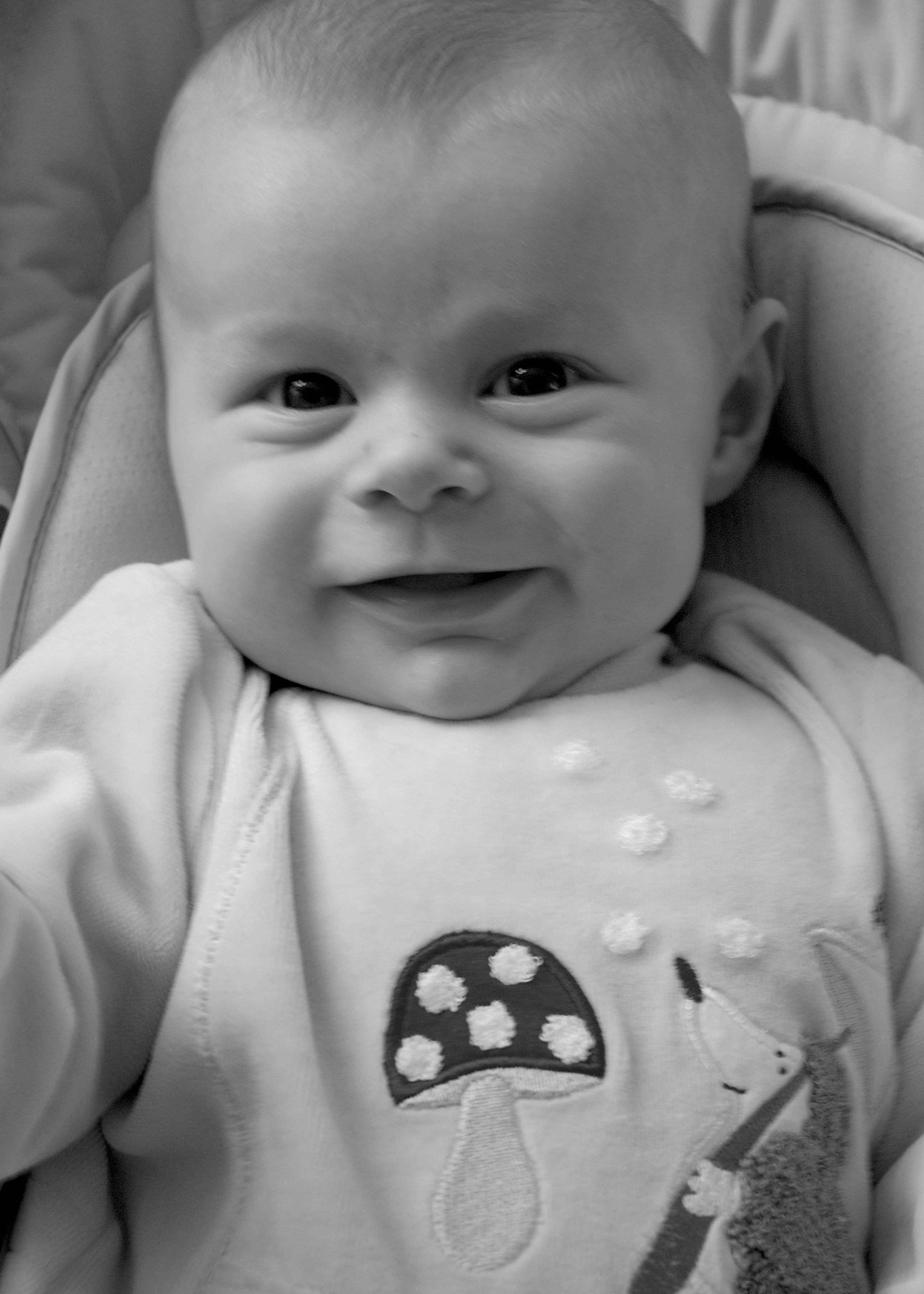 11 Weeks 1