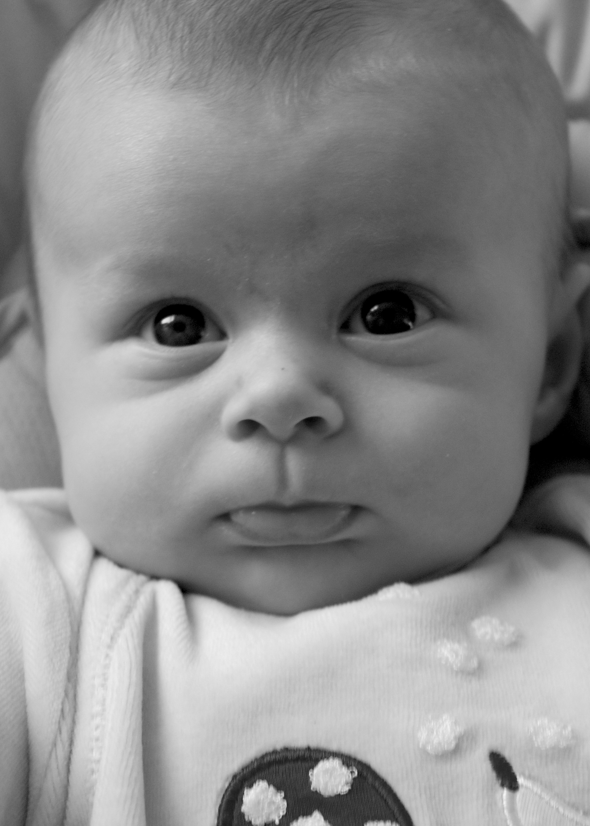 11 Weeks 2