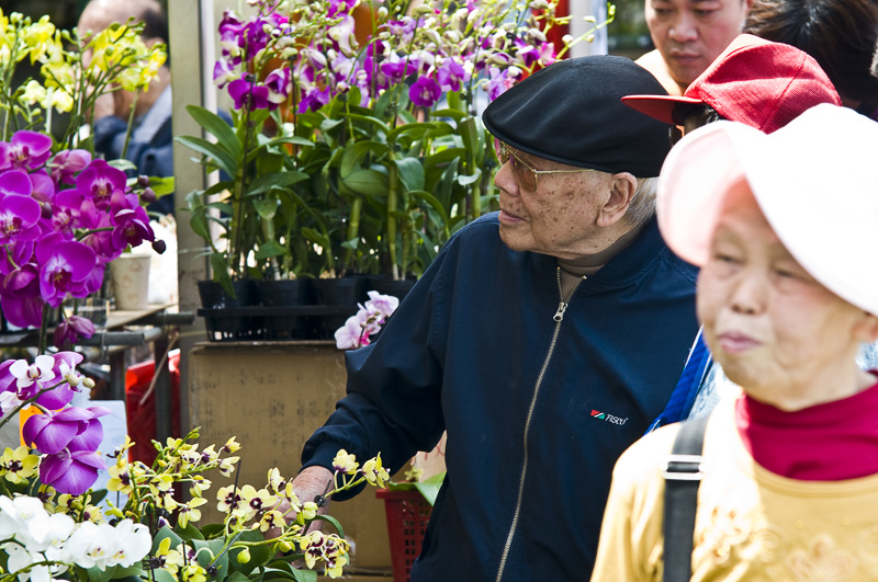 Hong Kong 香港 - 維園花展 Victoria Park Flower Fest