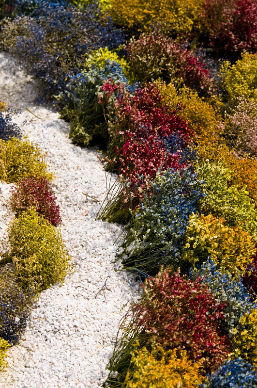 Hong Kong 香港 - 維園花展 Victoria Park Flower Fest