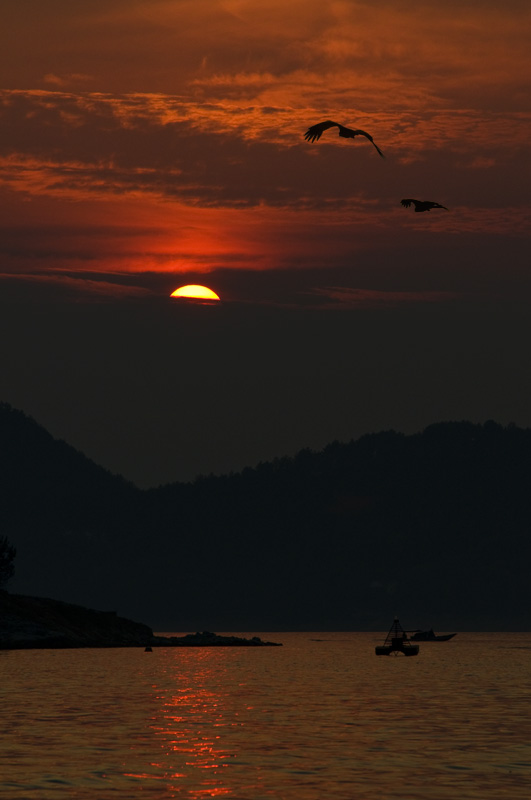 Qiandao Lake 千島湖