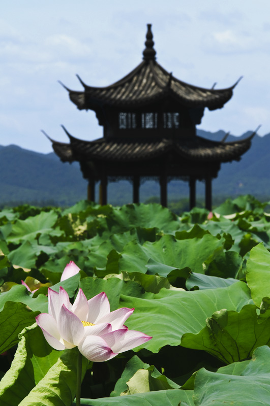Hangzhou 杭州 - 西湖 West Lake