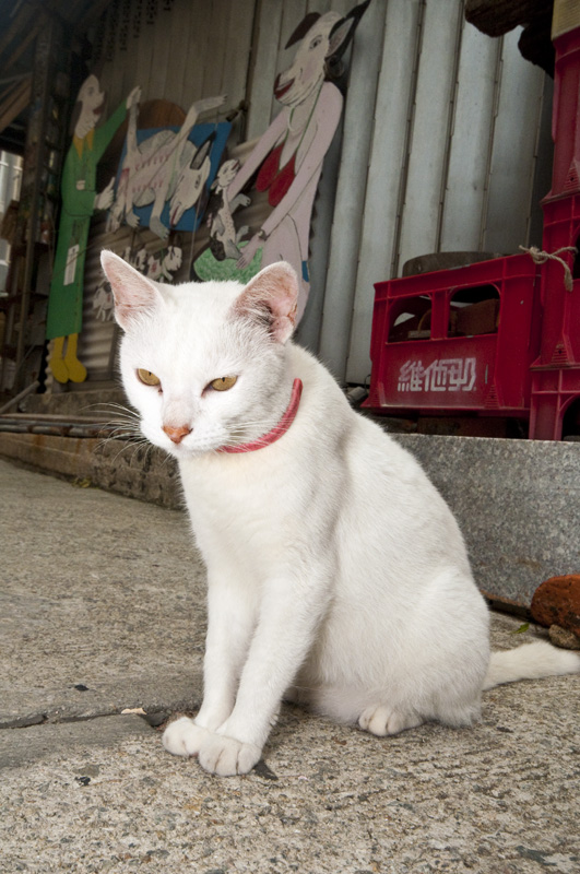 Hong Kong 香港 - 大澳 Tai O