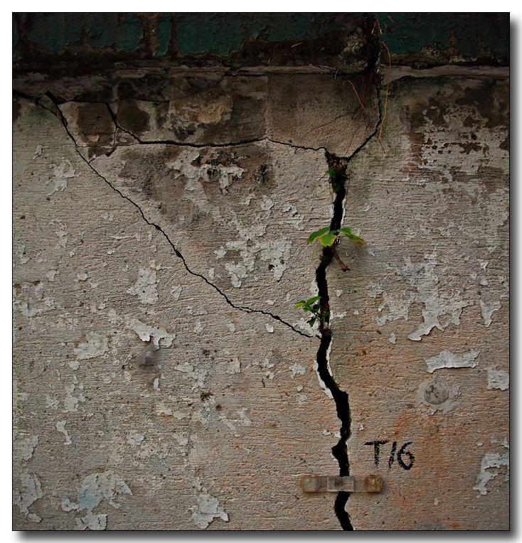 t16 and a new life...